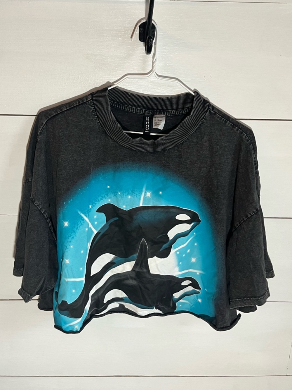 Divided Orca Graphic Crop Tee